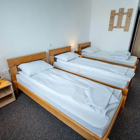 Guest house Perla Susenii Birgaului
